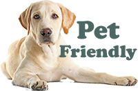 pet-friendly-hotel